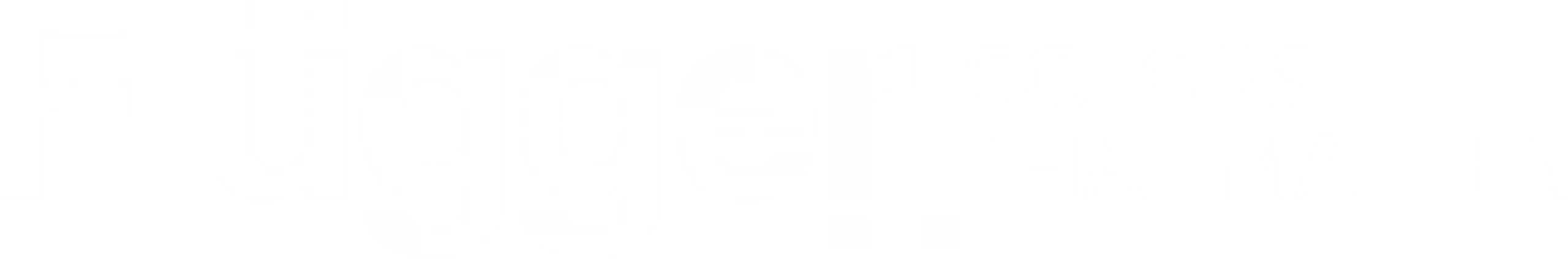 fluegger logo